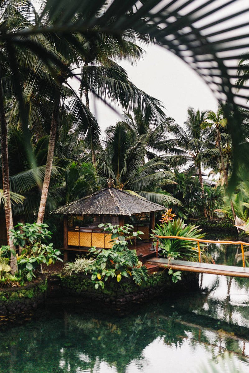 White House Urged to Double Check Microsoft isn’t Funneling AI